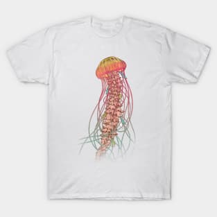 Jellyfish T-Shirt